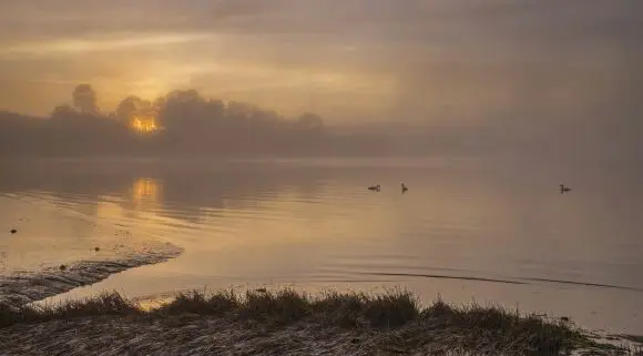 Marcelo Salazar/ Belleza escénica/Humedal de Pullao en sector Quilquico península de Rilán, Castro, región de Los Lagos/ Amanecer de flamencos chilenos.