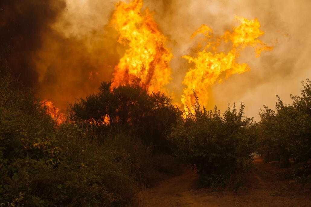 Incendio Forestal 