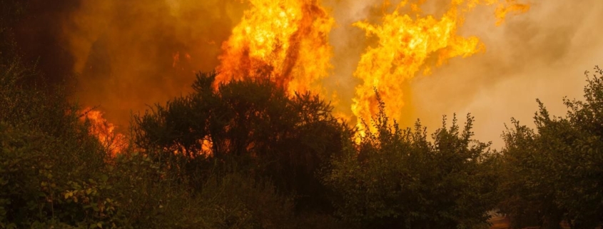 Incendio Forestal