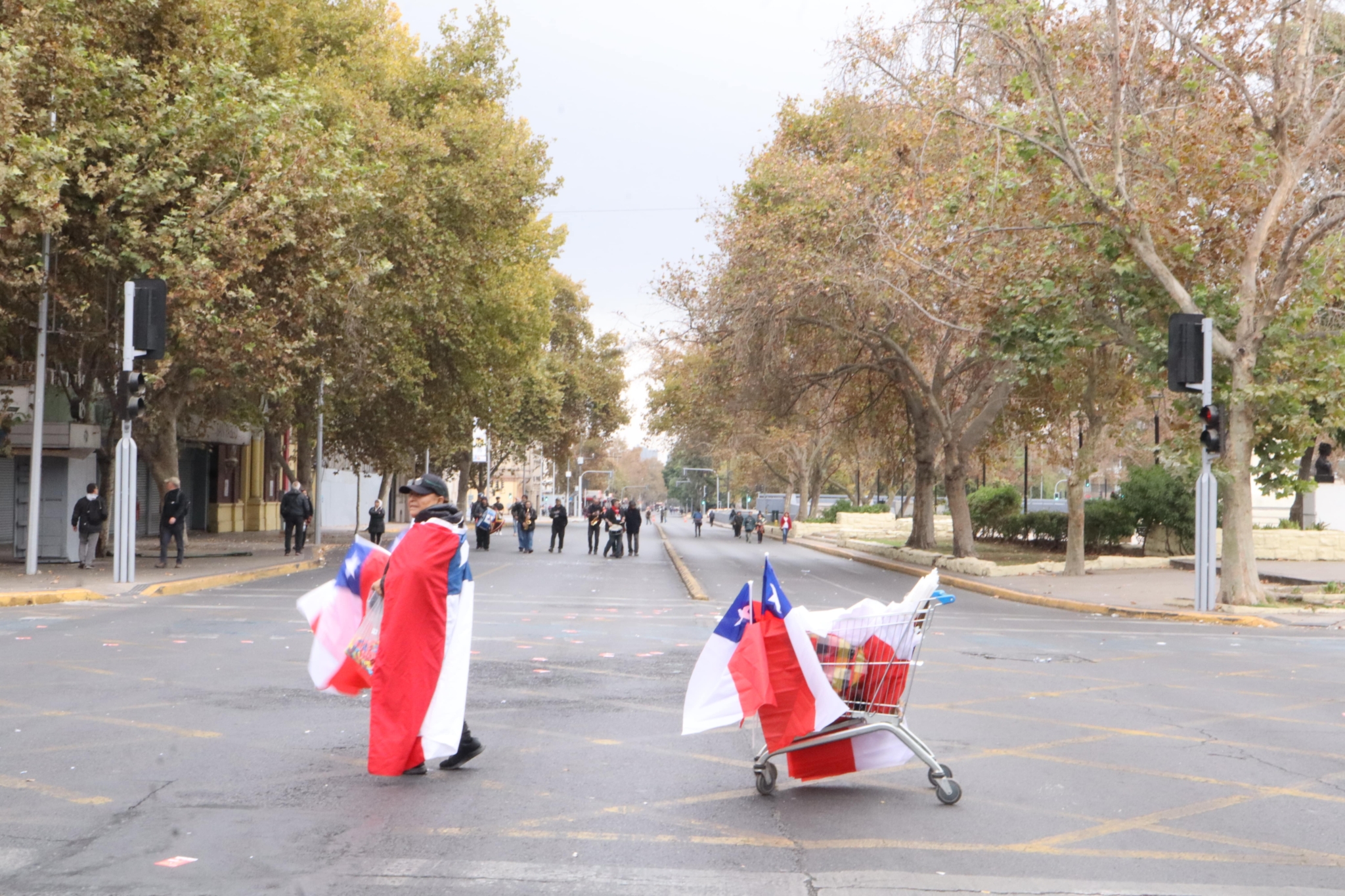 comerciante ambulante banderas chilenas