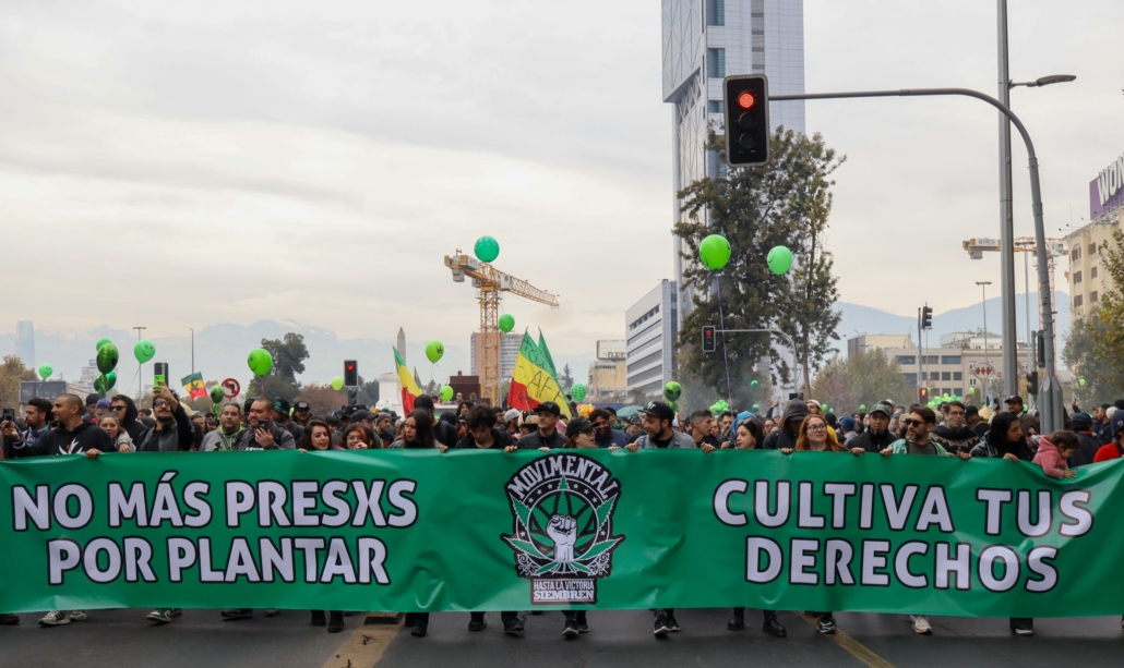 Lienzo movimental marcha cultiva tus derechos